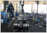 Hot Gas Gate Valve